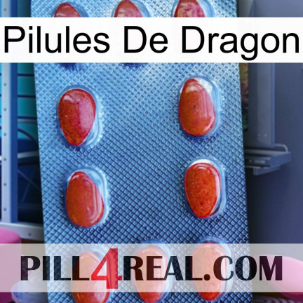 Dragon Pills 06